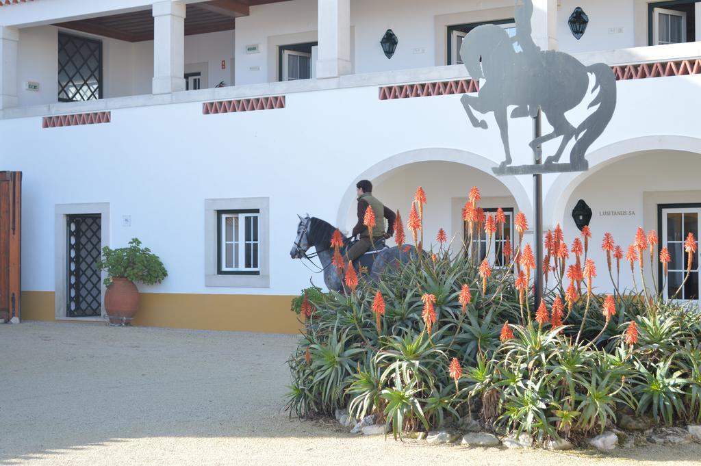 Lusitanus Farm stay