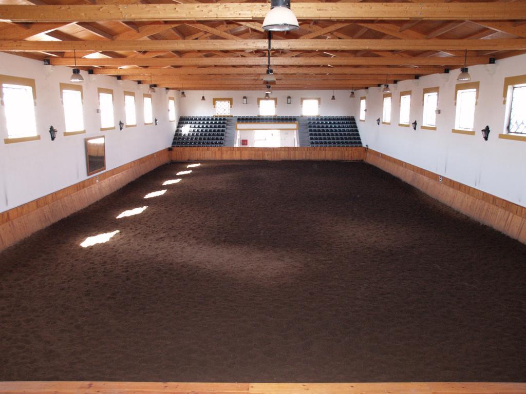 Lusitanus Farm stay *