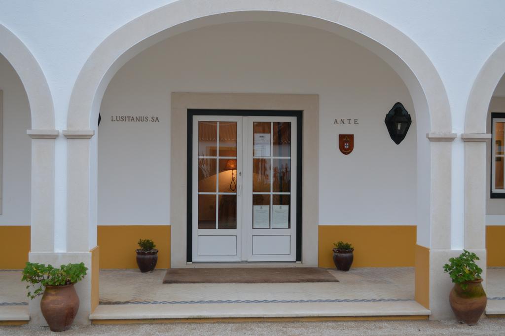 Lusitanus Farm stay